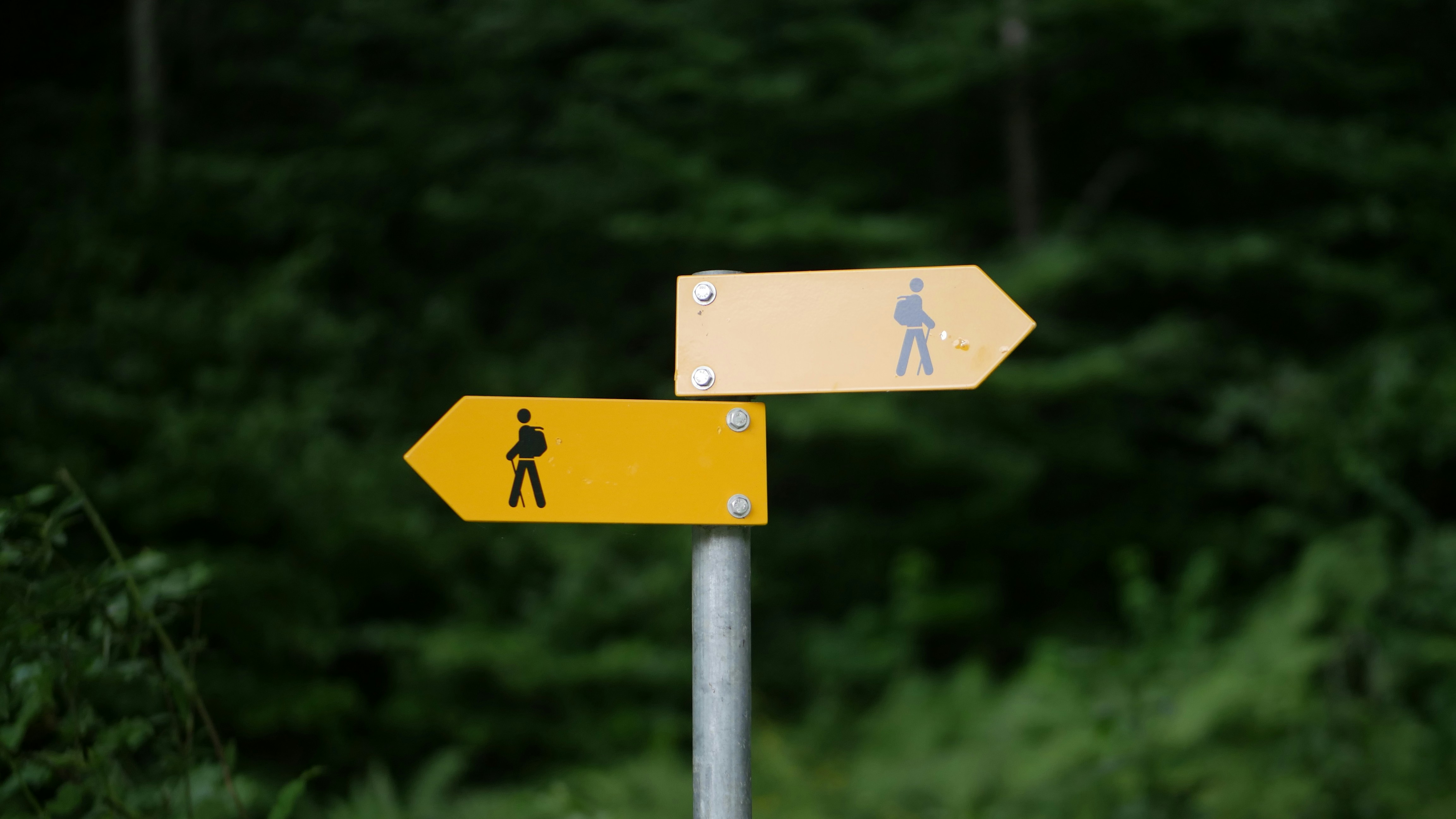 Sourced vs Cited in AI Search: What's the Difference?